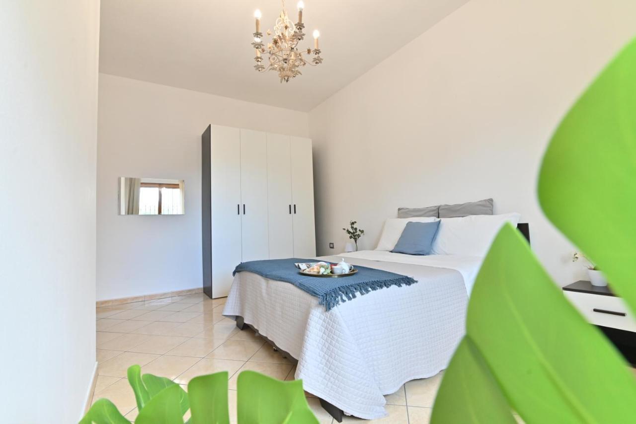 Izzhome Flamingo Пула Екстериор снимка
